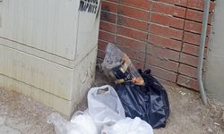 Eskişehir'de duyarsızlık bitmiyor: Uyarıya rağmen...