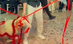 Afyon'daki düğünde damada sürpriz hediye!