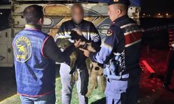 Afyon'da hayvan hırsızları JASAT tarafından yakalandı