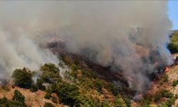 Uzmanlardan uyarı: Yangınlarda önleme ve erken tespit öncelikli olmalı