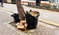 Eskişehir’de çevre kirliliği vatandaşları isyan ettirdi!