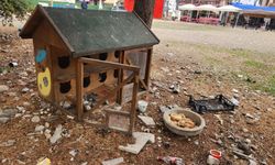 Eskişehir’de sokak hayvanları için yapılan kulübeler kaderine terk edildi