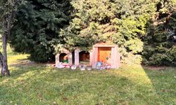 Eskişehir'de vatandaşlar sokak hayvanlarına sahip çıkıyor!