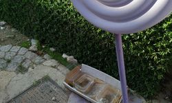 Eskişehir’de hayvanseverlerin örnek davranışı takdir topladı