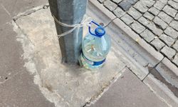 Eskişehir'de esnaftan çevre kirliliğine yaratıcı çözüm!