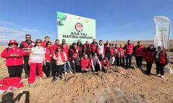 Eskişehir Kızılay gönüllülerinden fidan seferberliği!