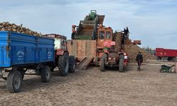 Seyitgazi’de pancar çiftçisine yerinde destek