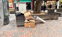 Eskişehir’de gelişi güzel atılan çöp sorununa çözüm bekleniyor