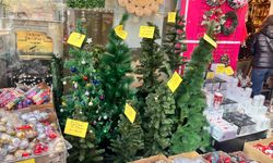 Eskişehir yılbaşı hazırlığında: Ağaç satışları başladı!