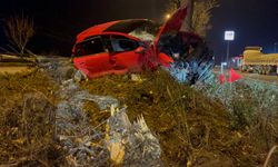 Eskişehir'de otomobil refüjdeki ağaçları biçti!