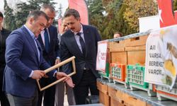Arıcılığın geliştirilmesi için Bilecik’te destek programı başladı