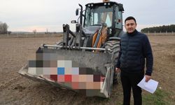 Eskişehir'de kaçak kesim ihbarı gerçek çıktı: Görüntüler mide bulandırdı!