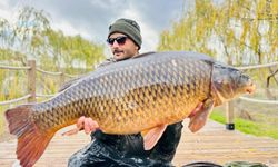 Pelitozu Göleti'nde dev sazan yakalandı!