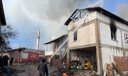 Bilecik'teki yangında hayvanlar son anda kurtarıldı!