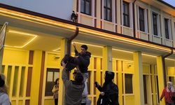 Eskişehir'de güldüren kedi kurtarma operasyonu