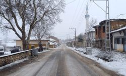 Soğuk hava etkisini gösterdi, Bilecik’te ilk kar yağdı!