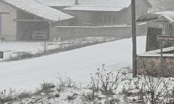 Eskişehir kırsalı da beyaz örtüyle kaplandı!