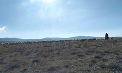 Afyon'da maden arama izni bulunan meralarda saha denetimi