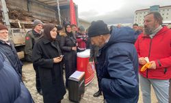 Gölpazarı’nda meyveciliği güçlendiren proje hayata geçti