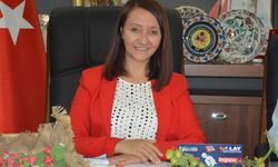 Pazaryeri TOKİ projesinde sona gelindi