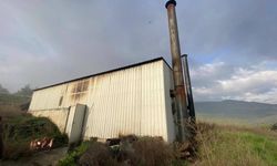 Bilecik'te tavuk çiftliğinde çıkan yangın korkuttu