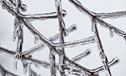 Eskişehir’de kış sertleşiyor: Don ve buzlanma riskine dikkat!