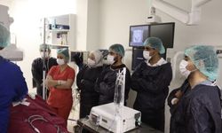 Dört yabancı radyolog ESOGÜ’de ablasyon eğitimine katıldı