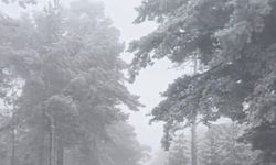 Eskişehir'de kar sevinci!