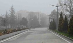 Eskişehir beyaza büründü: Sabah sisi trafiği etkiledi!