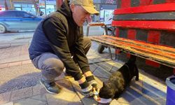 Eskişehir’de taksici esnafından can dostlara büyük sevgi