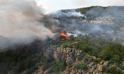 Seyitgazi yangınına ilişkin takipsizlik kararına itiraz!