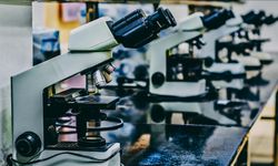 Yapay zekâ odaklı, kişiye özel tedavilerde yeni adım!