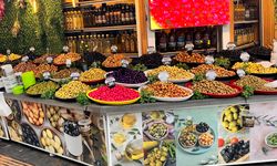 Eskişehir'de zeytin çeşitleri dikkat çekiyor