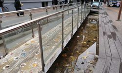 Eskişehir'de süs havuzları bakımsız kaldı