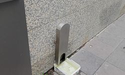 Eskişehir'den sokak hayvanlarına duyarlı davranış