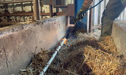 Eskişehir’de aşırı soğuk: Besicileri susuz bıraktı