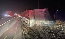 Alkollü tır sürücüsü kaza yaptı!