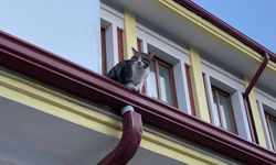Eskişehir Tren Garı’nın aynı numarayla yeniden ortaya çıktı!