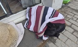 Eskişehir'de duyarlı vatandaşın hareketi yürekleri ısıttı!