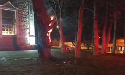 Eskişehir’de kültürel değere saldırı: Ağaç kundaklandı!