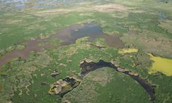 Eber Gölü’nün son görüntüsü yüz güldürdü!