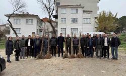 Bilecik'te çiftçilere fidan desteği