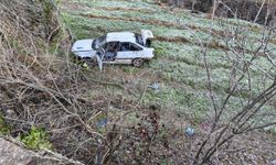 Bilecik'te kontrolden çıkan otomobil şarampole uçtu