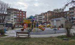 Eskişehir'de soğuk hava sokakları sessiz bıraktı!