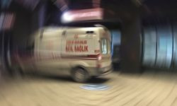 Tatilde memleketi Bilecik'e geldi, babasının aracında acı son!