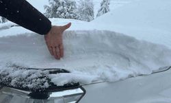 Eskişehir'in ilçesinde yoğun kar hayatı felç etti