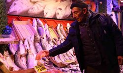 Eskişehir'de soğuk havalar, balık tezgahlarını da vurdu!