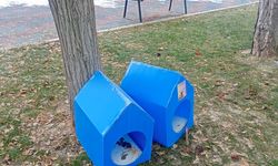 Eskişehir’de sokak hayvanları için duyarlı hareket