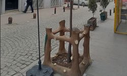 Eskişehir’de genç ağaçlar için çevreci düzenleme