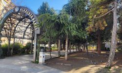 Eskişehir’de tarihle yeşilin buluştuğu adres: Alaaddin Parkı